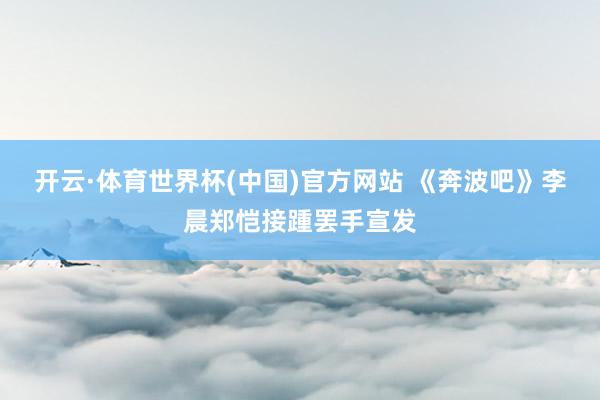 开云·体育世界杯(中国)官方网站 《奔波吧》李晨郑恺接踵罢手宣发