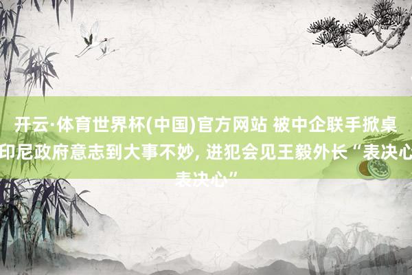 开云·体育世界杯(中国)官方网站 被中企联手掀桌, 印尼政府意志到大事不妙, 进犯会见王毅外长“表决心”
