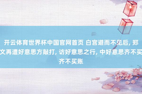 开云体育世界杯中国官网首页 白宫避而不见后, 郑丽文再遭好意思方敲打, 访好意思之行, 中好意思齐不买账