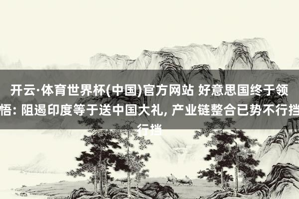 开云·体育世界杯(中国)官方网站 好意思国终于领悟: 阻遏印度等于送中国大礼, 产业链整合已势不行挡