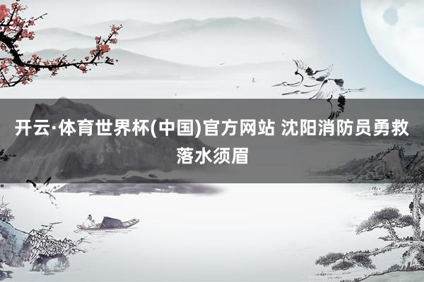 开云·体育世界杯(中国)官方网站 沈阳消防员勇救落水须眉