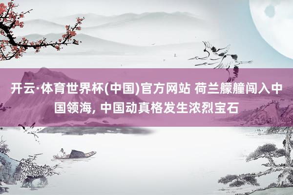 开云·体育世界杯(中国)官方网站 荷兰艨艟闯入中国领海, 中国动真格发生浓烈宝石