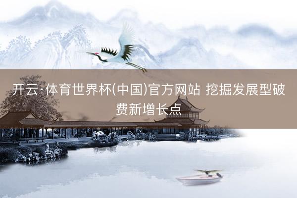 开云·体育世界杯(中国)官方网站 挖掘发展型破费新增长点