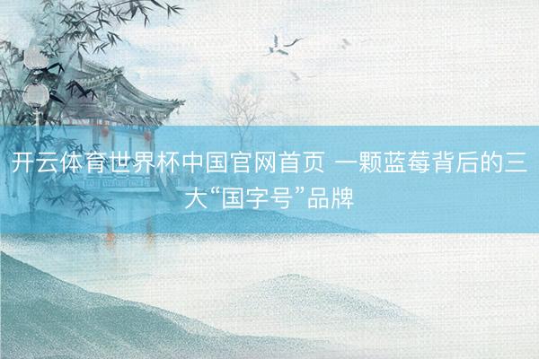 开云体育世界杯中国官网首页 一颗蓝莓背后的三大“国字号”品牌