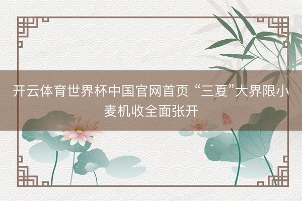 开云体育世界杯中国官网首页 “三夏”大界限小麦机收全面张开
