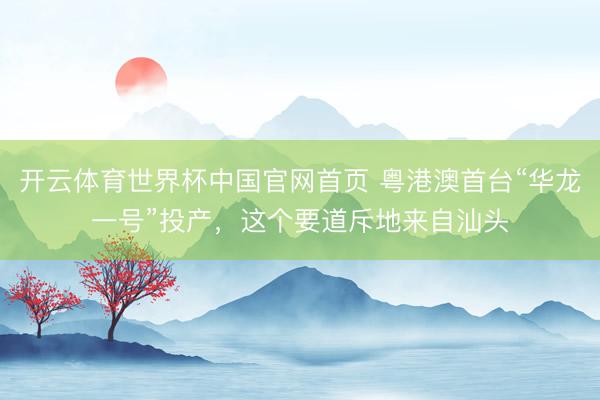开云体育世界杯中国官网首页 粤港澳首台“华龙一号”投产,这个要道斥地来自汕头