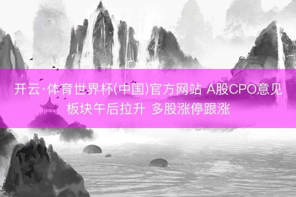 开云·体育世界杯(中国)官方网站 A股CPO意见板块午后拉升 多股涨停跟涨